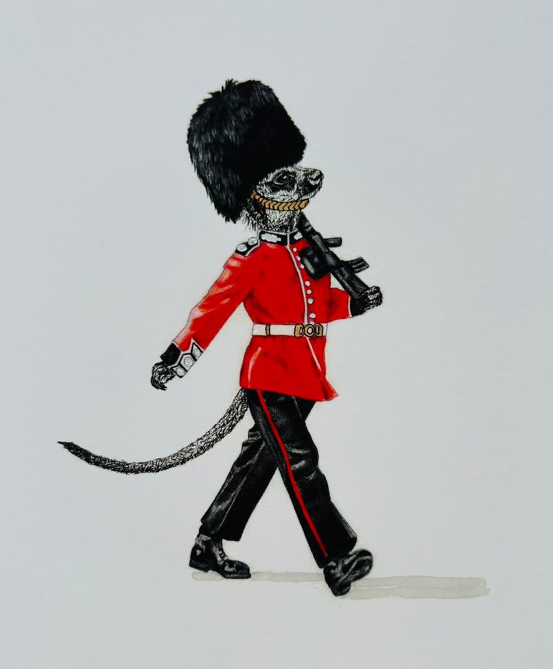 Druck Meerkat Soldier