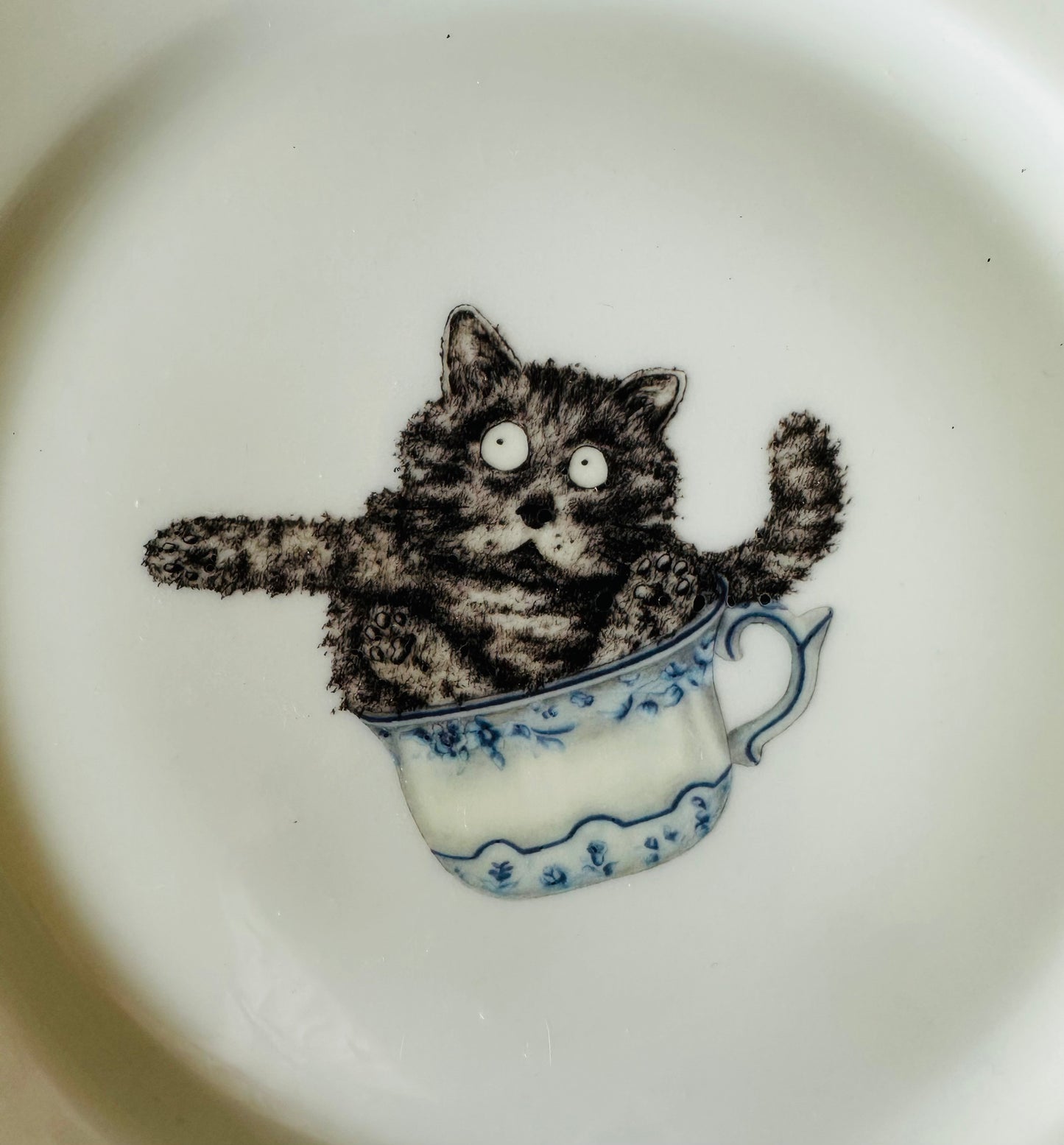 Teller mit Katze in Tasse