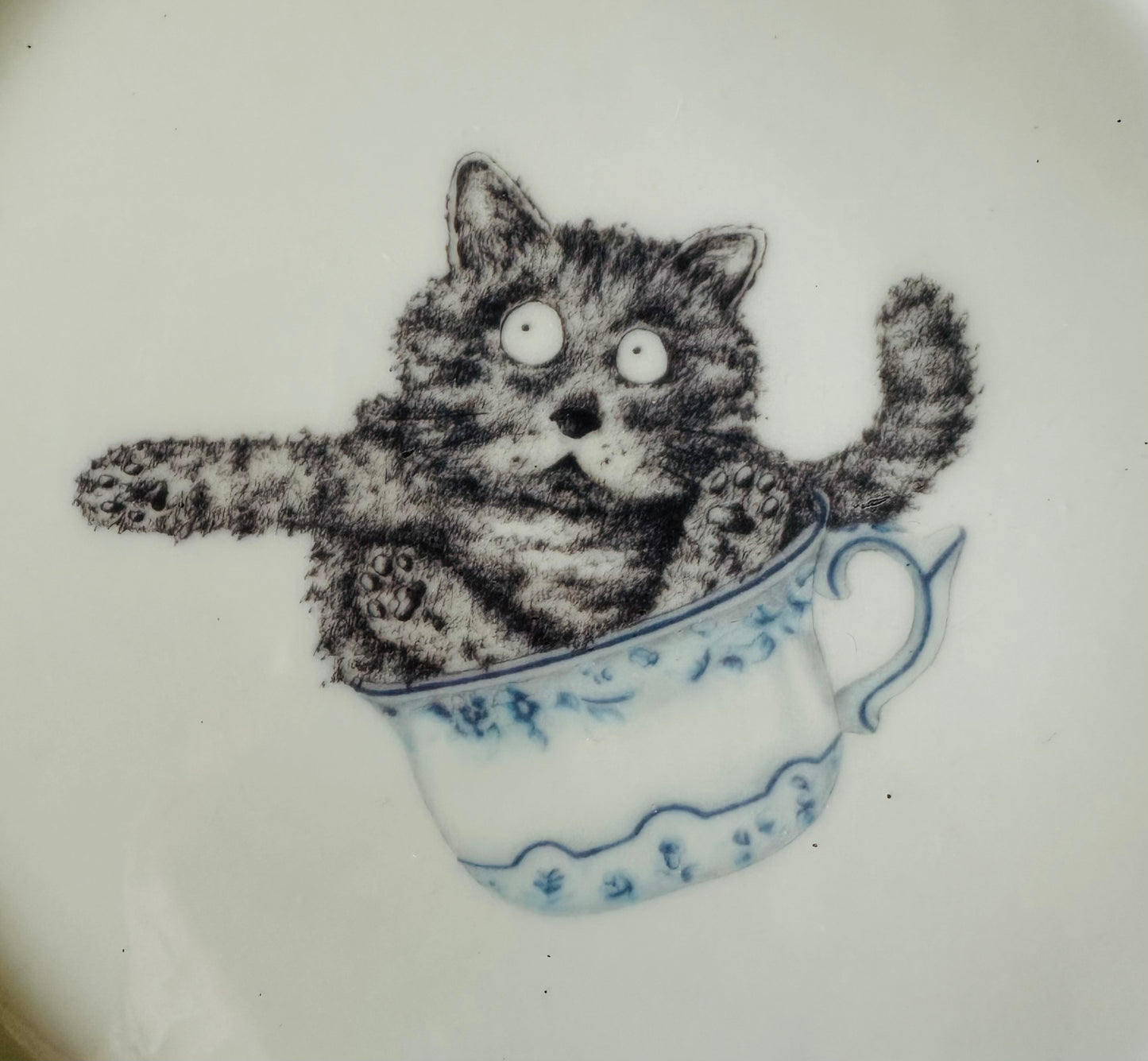 Teller mit Katze in Tasse
