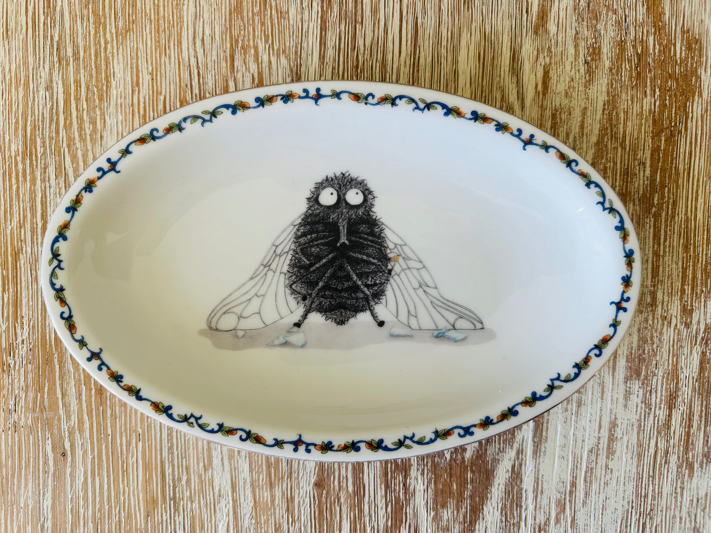 Kleine Schale Fliege