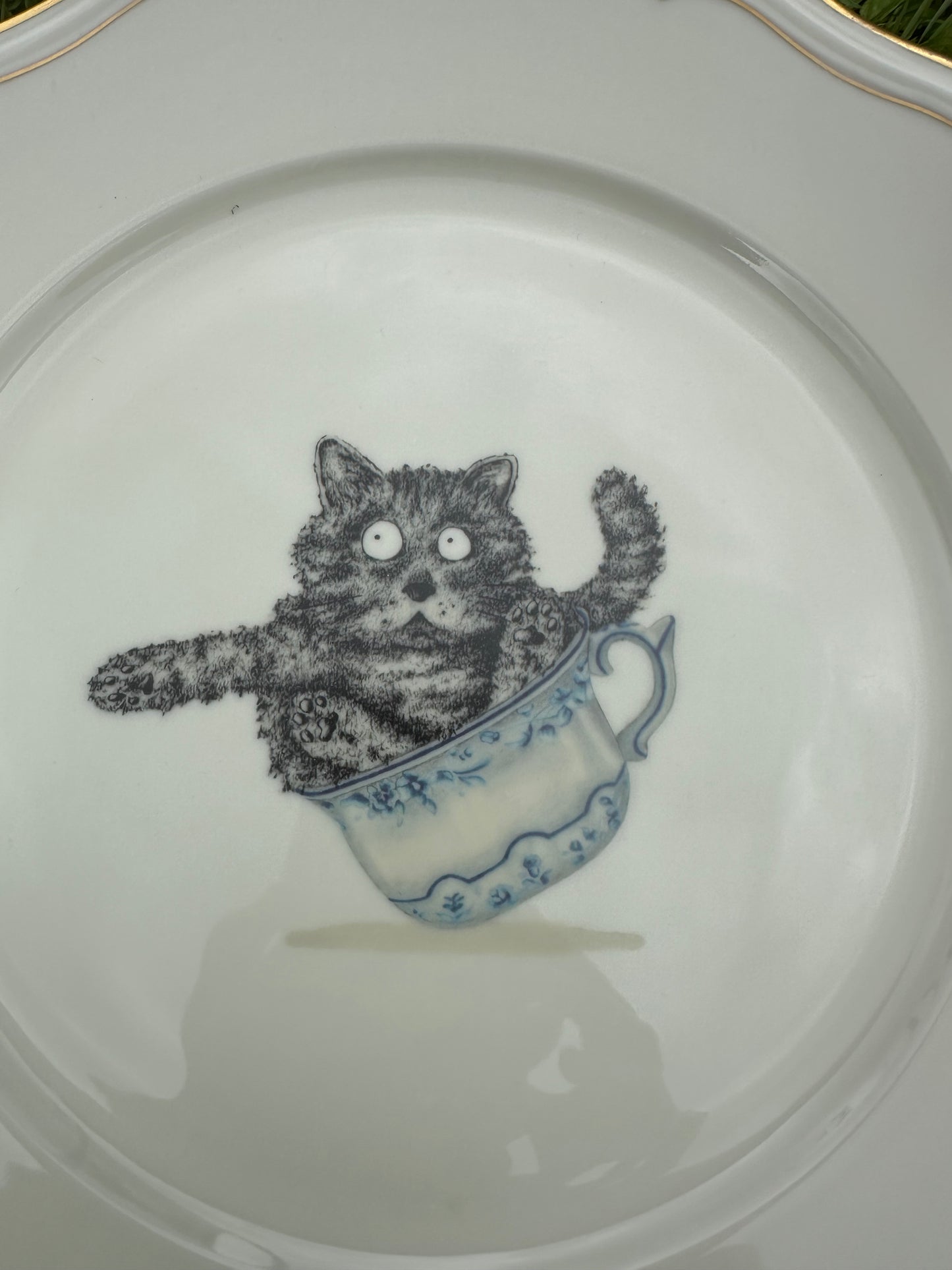 Teller Katze in Tasse