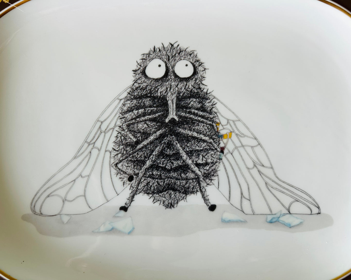 Platte, Fliege Langenthal